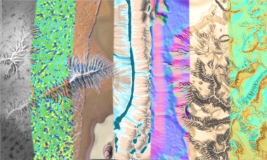 Export terrains and maps